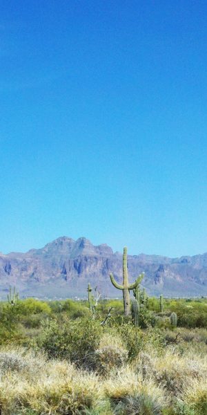 mesa-superstition-mountains-from-meridian-road.jpg